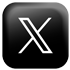 X icono